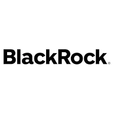 Black Rock Logo