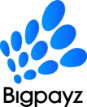 Bigpayz