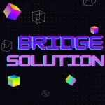 Bridge Solution