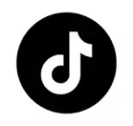 TikTok icon